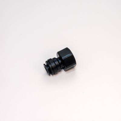 4302654.jpg
